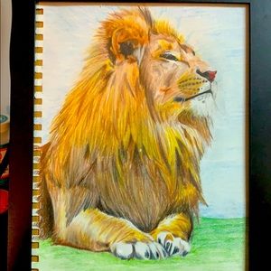 Lion Portrait!